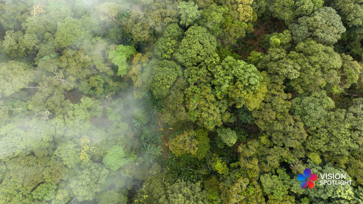 The Climate Tech Gold Rush Is Here. But Will It Save the Planet or Just Enrich It?